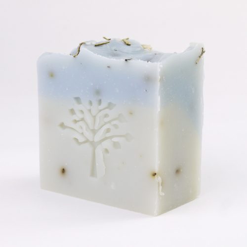 sapone solido scrub muschio d'acqua